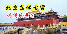 轮奸雨柔中国北京-东城古宫旅游风景区